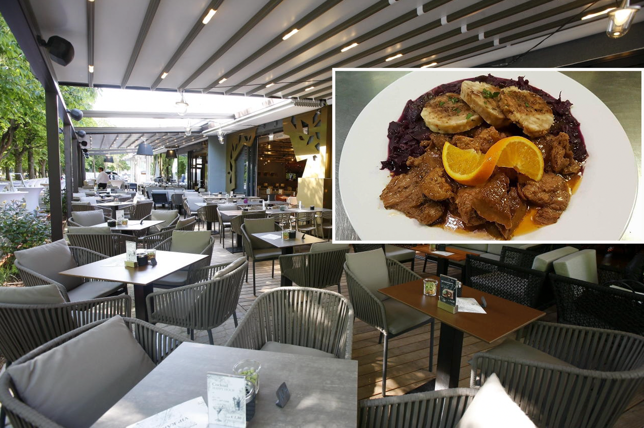 Heute.at - Die Martini-Gans muss gar nicht gelebt haben