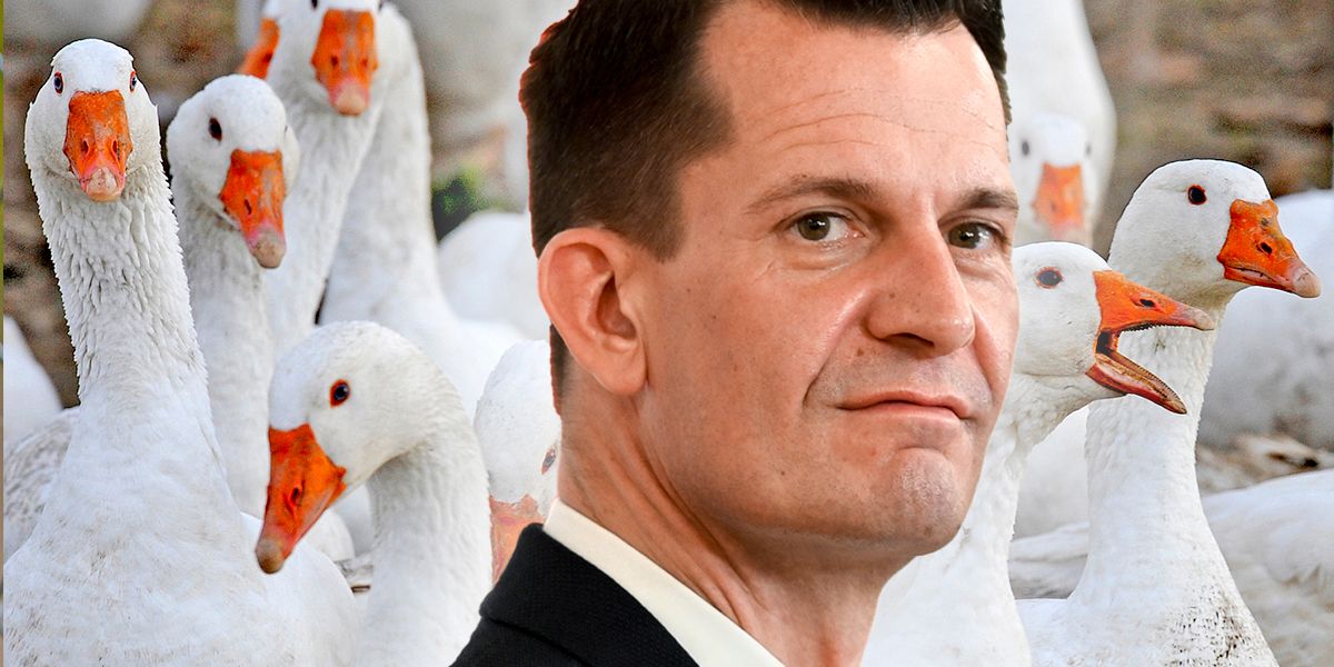 Wolfgang Mückstein gibt Tipps rund ums Martini-Gansl.