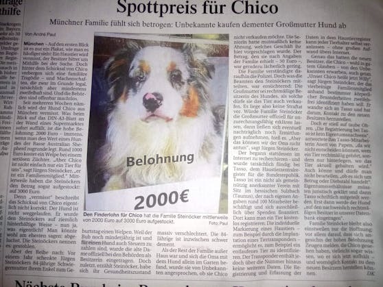 Mit allen Mitteln wird nach "Chico" gesucht. 