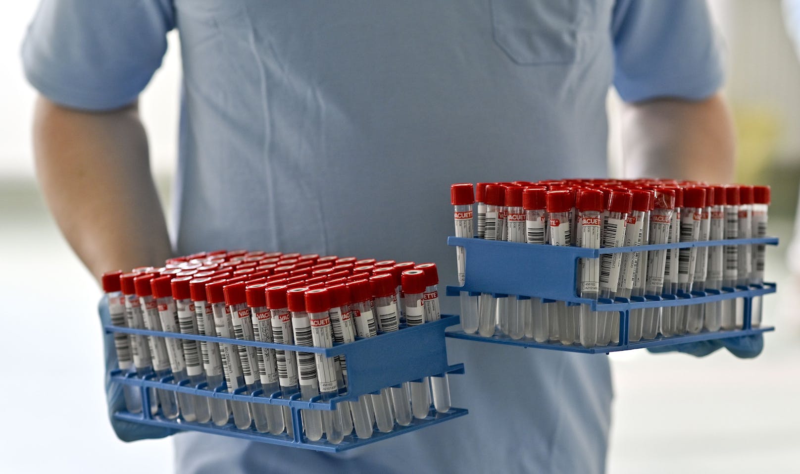 Symbolbild von PCR-Tests