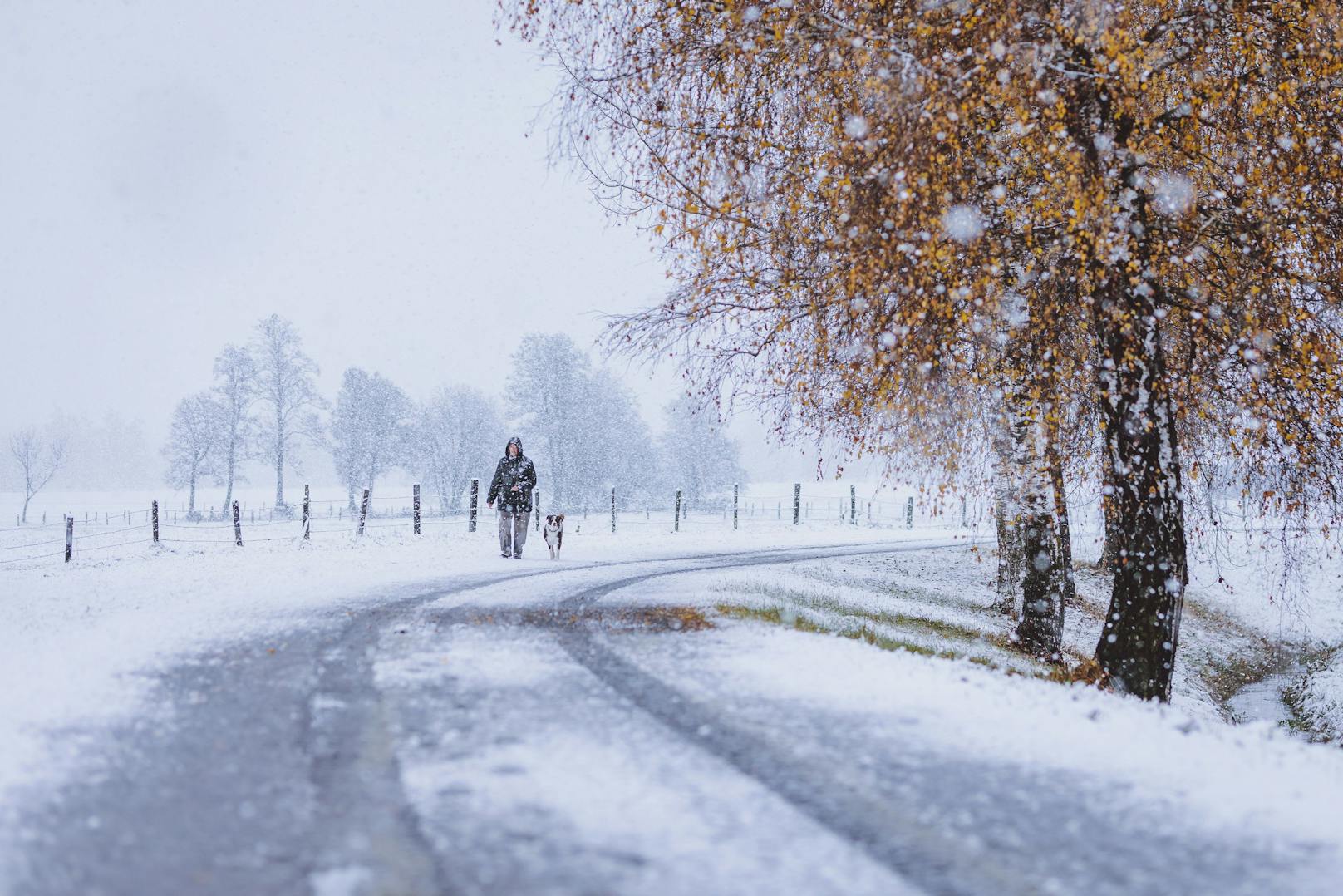 Es wird kalt und kälter – und der Schnee hält in Österreich Einzug.