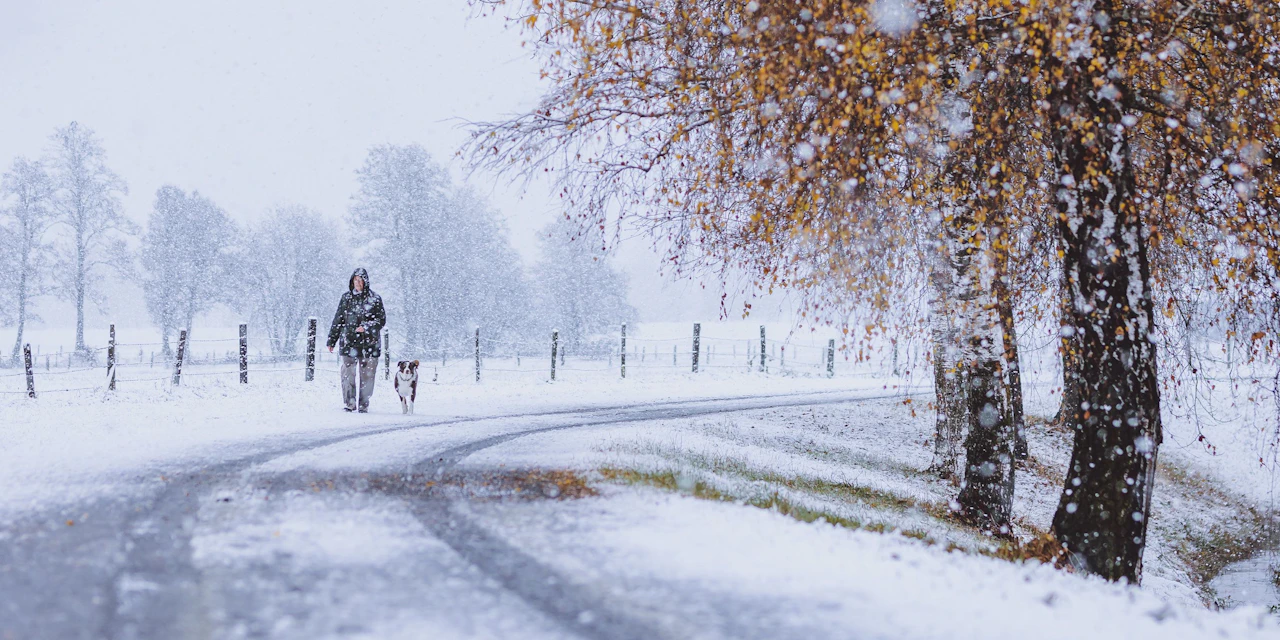 wann schneit es in hamburg