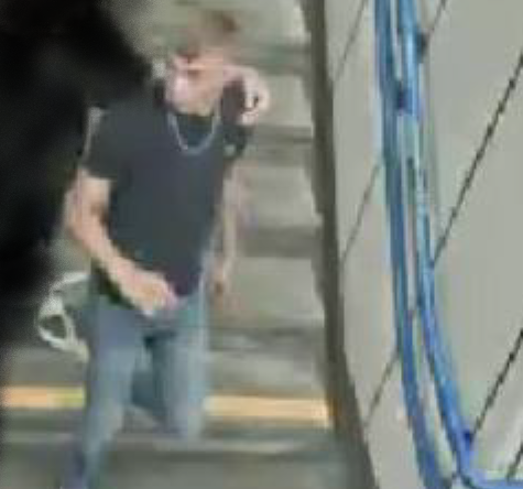 Die Landespolizeidirektion Wien fahndet nun mit diesen Bildern öffentlich nach dem mutmaßlichen Bahnhofsschläger.