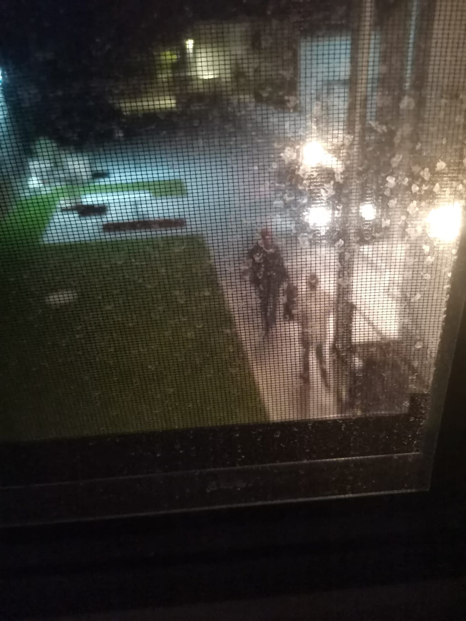 Ein Bild von der Festnahme.