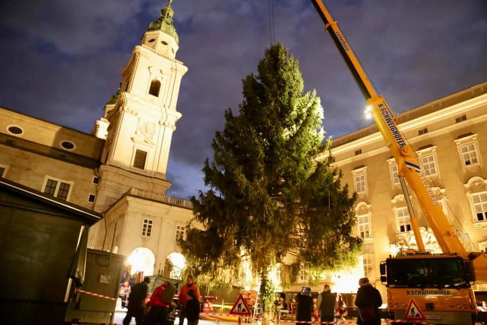 Der Christbaum ist gelandet - am 18. November wird er am Salzburger&nbsp;Residenzplatz zum Leuchten gebracht