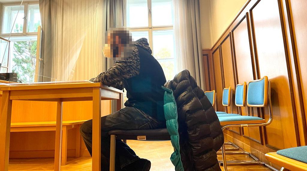 Der Mann in Wr. Neustadt vor Gericht.