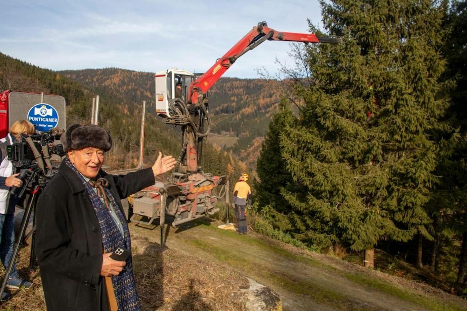 Richard Lugner fand seinen Traum-Baum in der Steiermark 