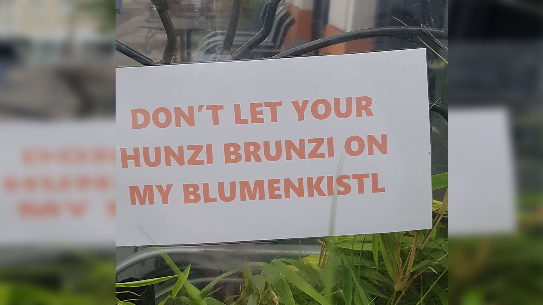 "Brunzverbot" für Hunde auch bei dem Lokal in Wien-Leopoldstadt