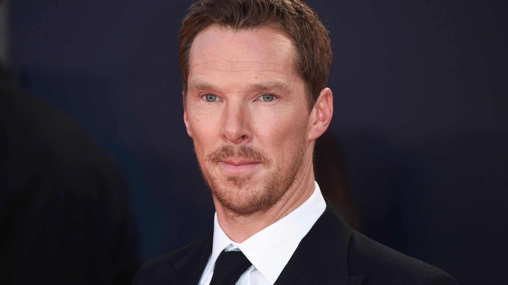  Benedict Cumberbatch bei der Premiere des Kinofilms "The Power of the Dog"