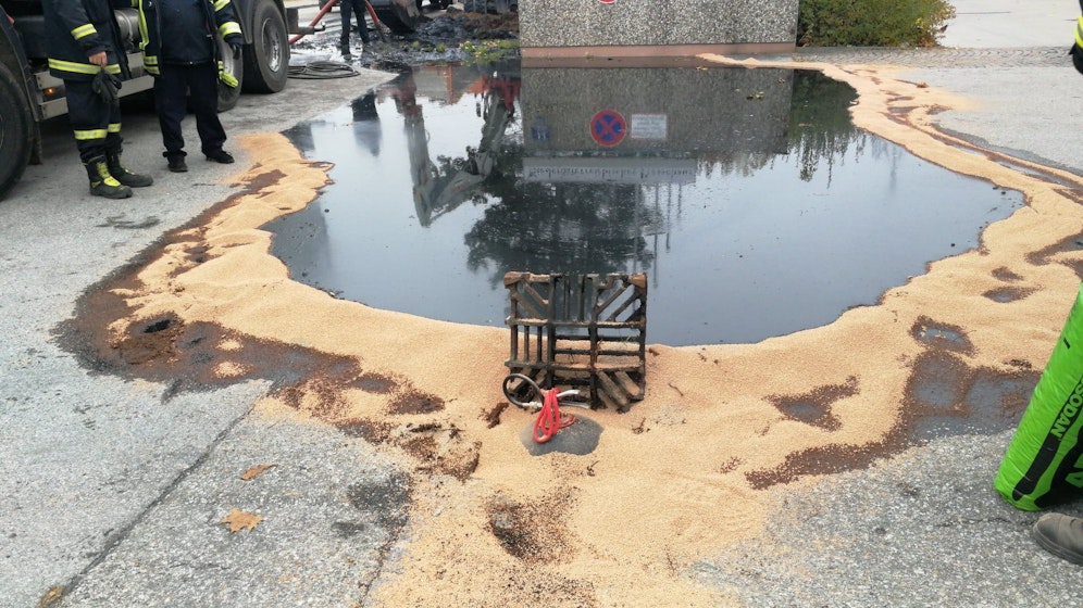 Die Feuerwehr verhinderte eine weitere Ausbreitung.