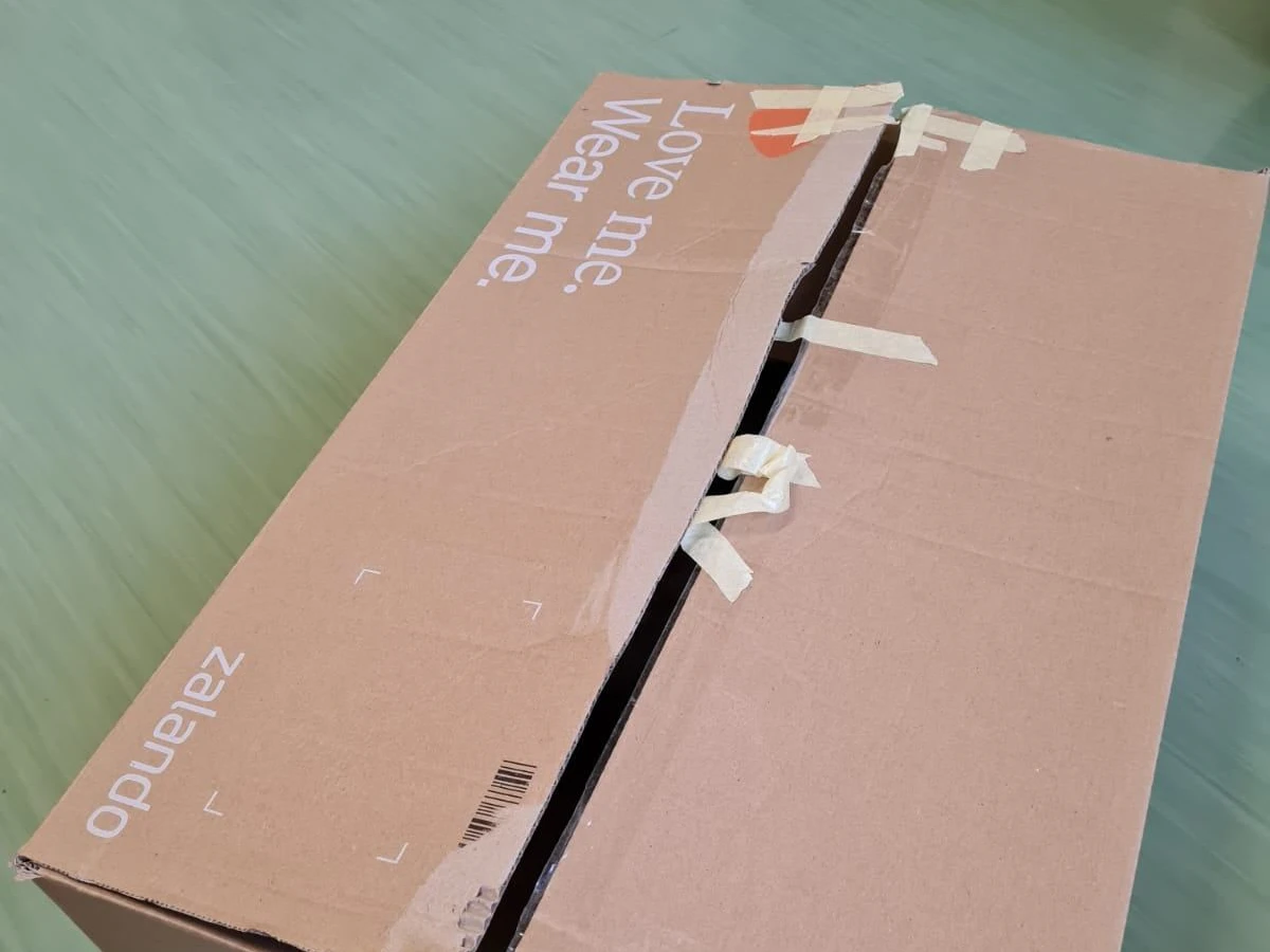 In diesem Karton wurden die Kätzchen ausgesetzt.