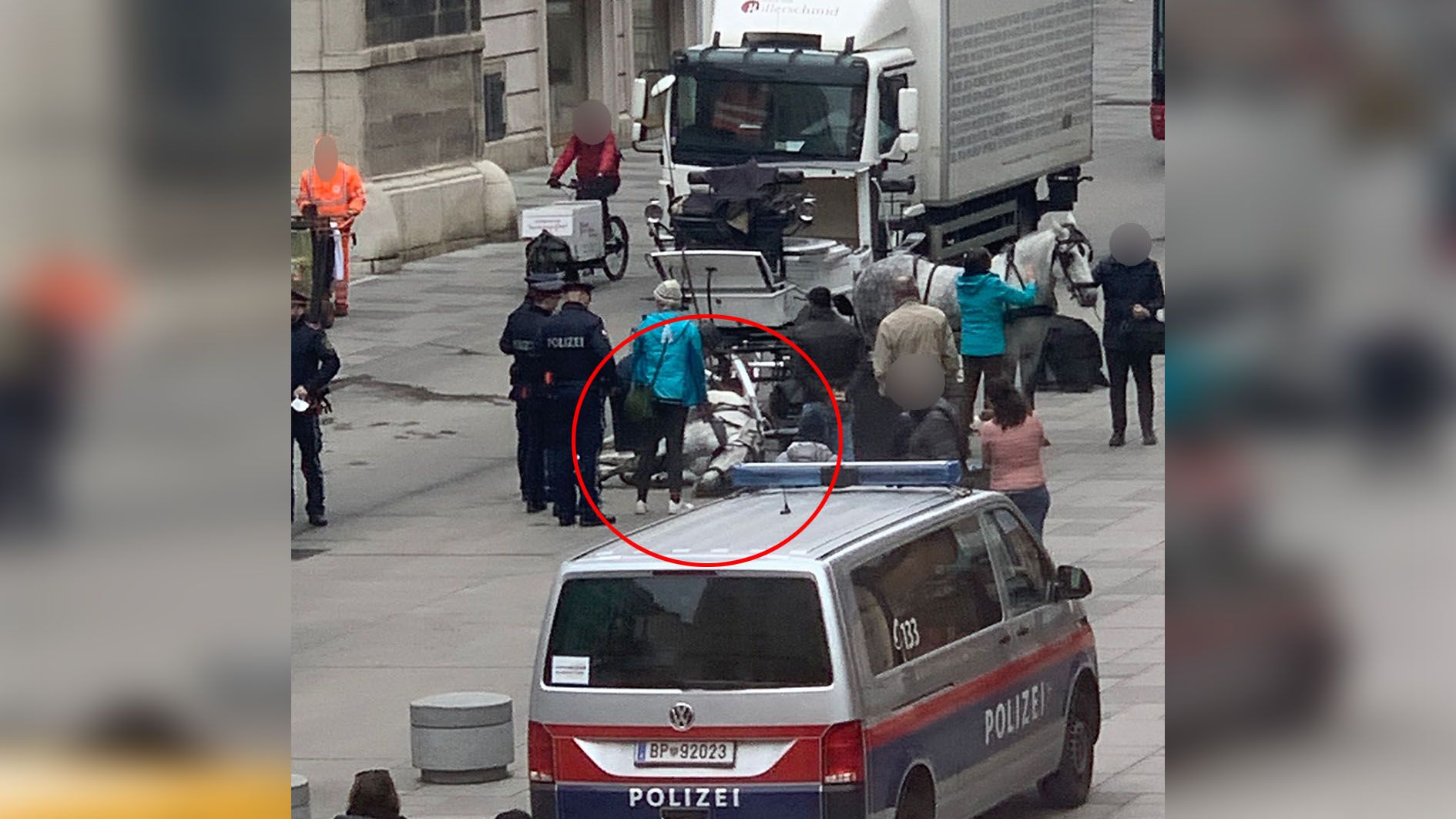 Besorgte Anrainer warteten, bis das Pferd sicher abtransportiert wurde