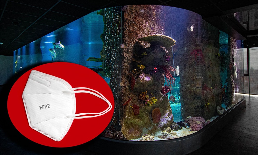 Die Sicherheit der Besucher ist den Verantwortlichen des Haus des Meeres wichtig, deshalb herrscht ab Mittwoch wieder Maskenpflicht. 