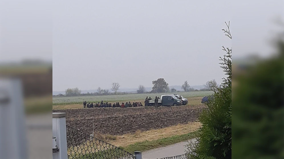 Die Gruppe schien eine kurze Pause auf einem Feld gemacht zu haben.