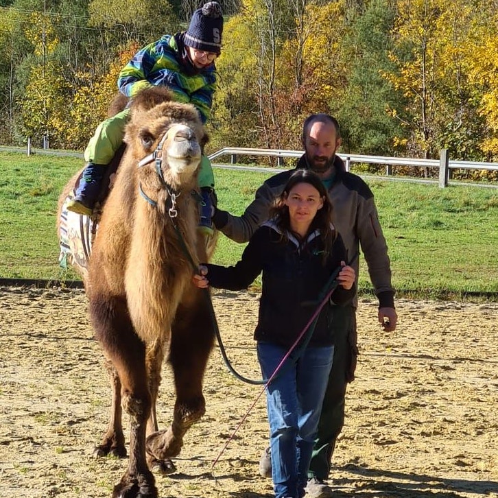 Die Kamele von Anita Vonwald begeistern Jung und Alt.