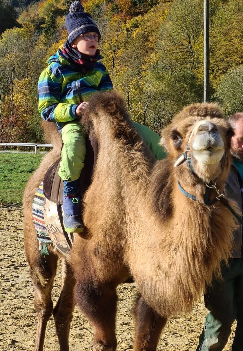 Raffael fühlt sich auf Jamil sehr wohl.