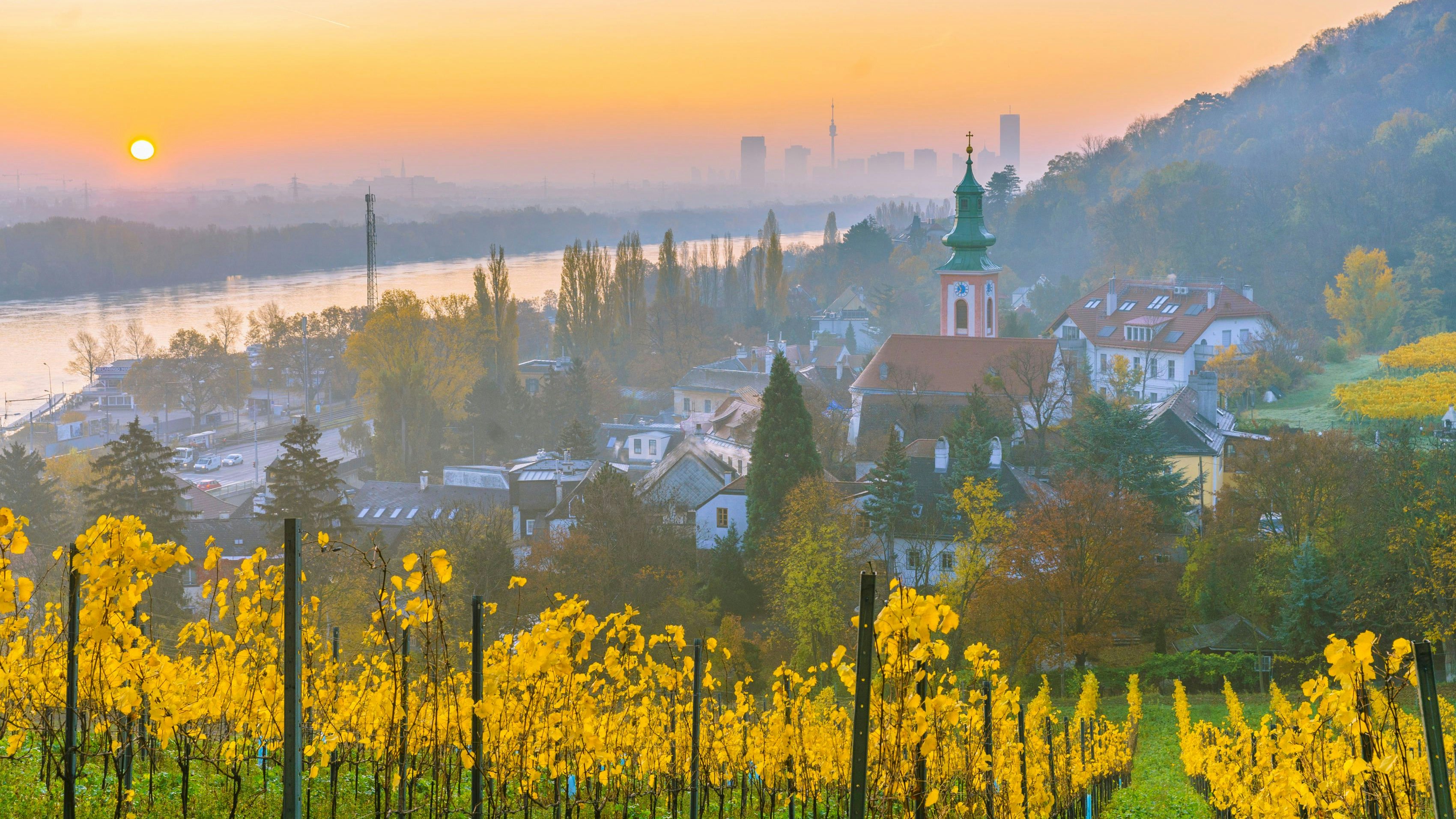 Blick bei Sonnenaufgang vom Fuß des Leopoldsberg über Kahlenbergerdorf hinaus über die Donau.
