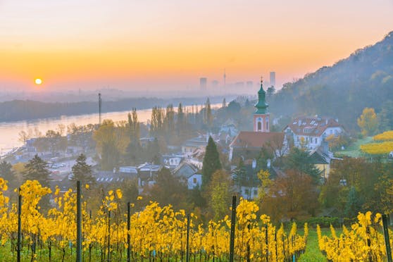 Blick bei Sonnenaufgang vom Fuß des Leopoldsberg über Kahlenbergerdorf hinaus über die Donau.