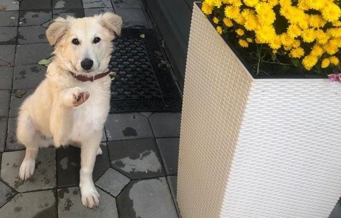 Was für eine Verwandlung! 