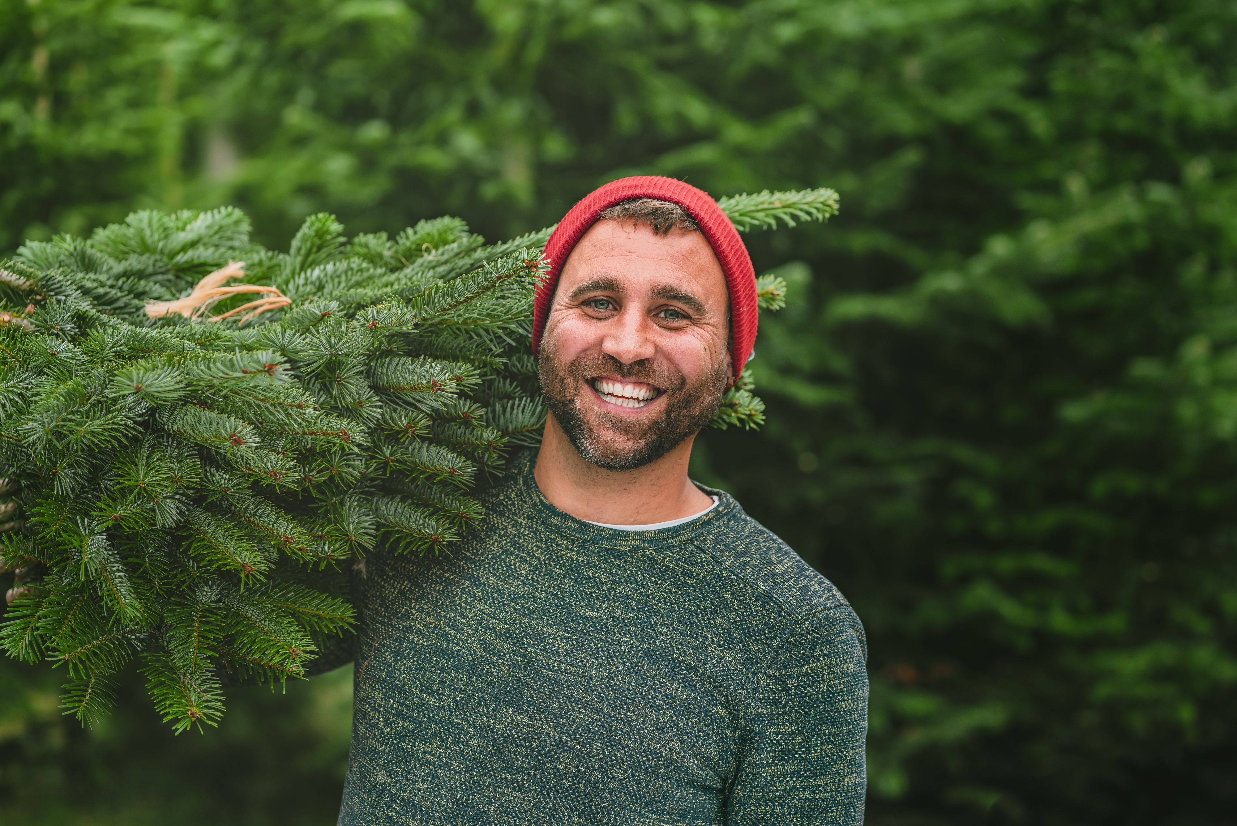 Der kleine Sohn von Nico Stisser (Bild) wollte nicht mehr, dass Bäume nur für Weihnachten gefällt werden. So entstand die Idee zum Keinachtsbaum.