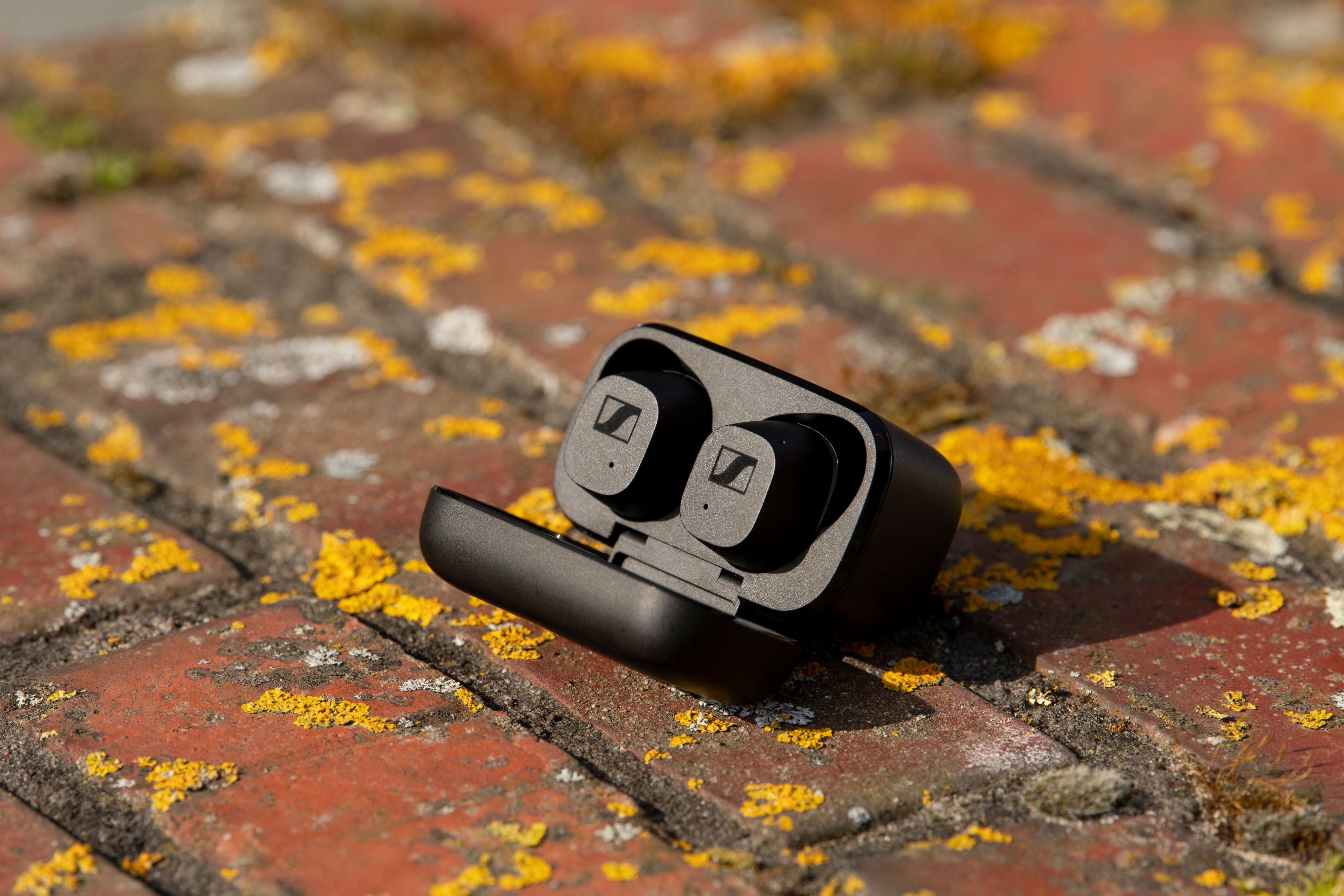 Adventkalender am 02.12: CX True Wireless von Sennheiser