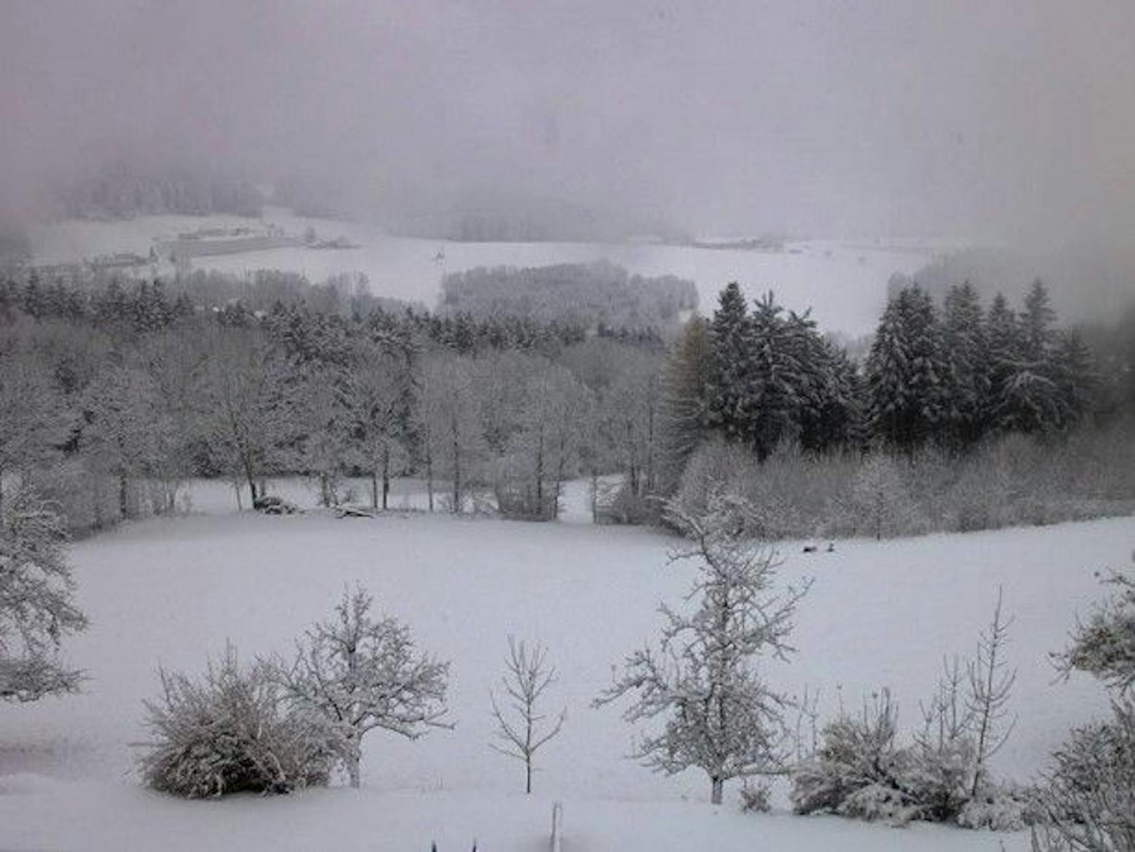 Der Blick von der Eidenberger Alm im Mühlviertel auf verschneite Felder.
