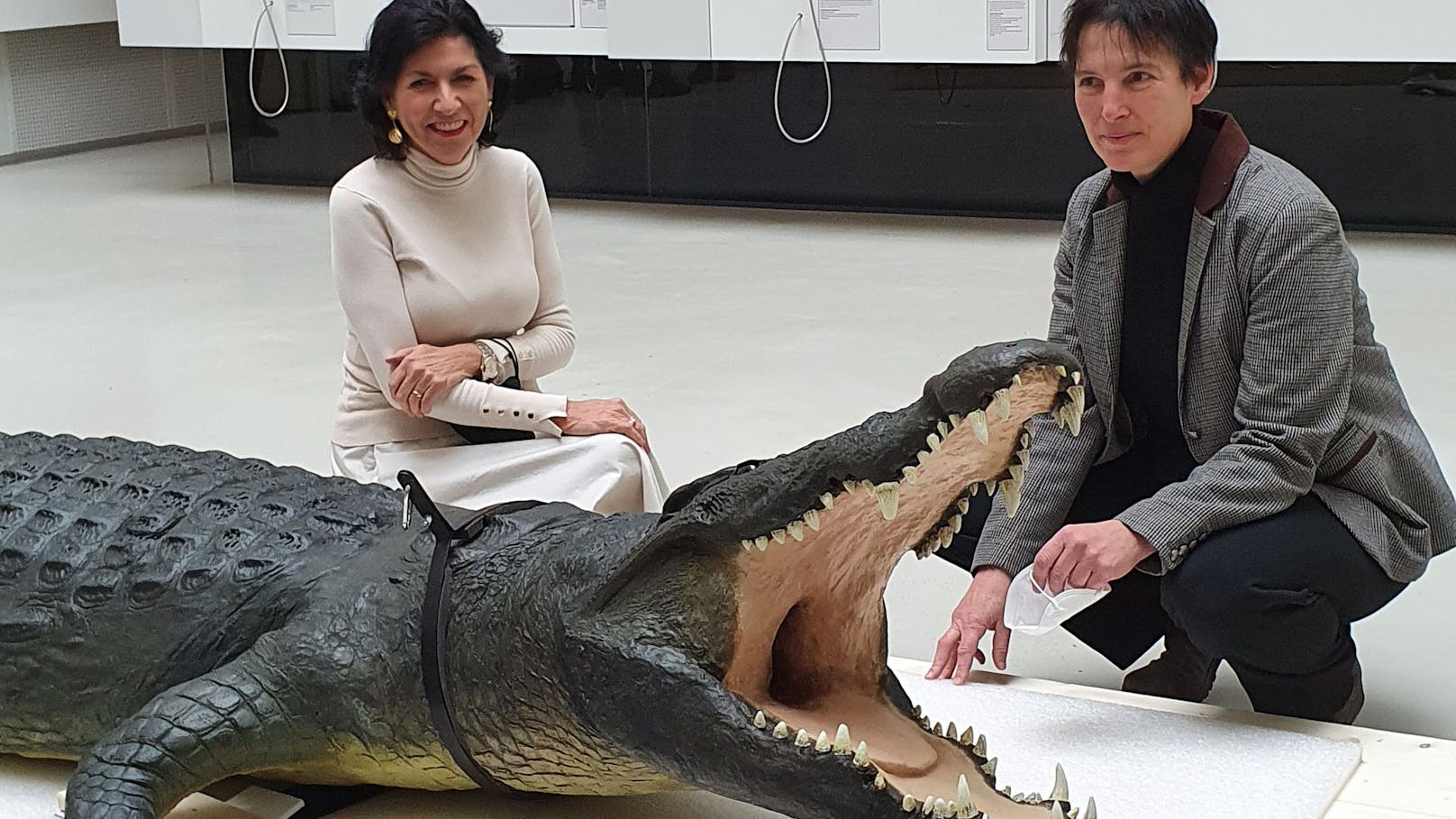 JMW-Direktorin Danielle Spera und die Chefin des "Naturhistorischen", Katrin Vohland,&nbsp; begrüßten Kroko in der Dorotheergasse