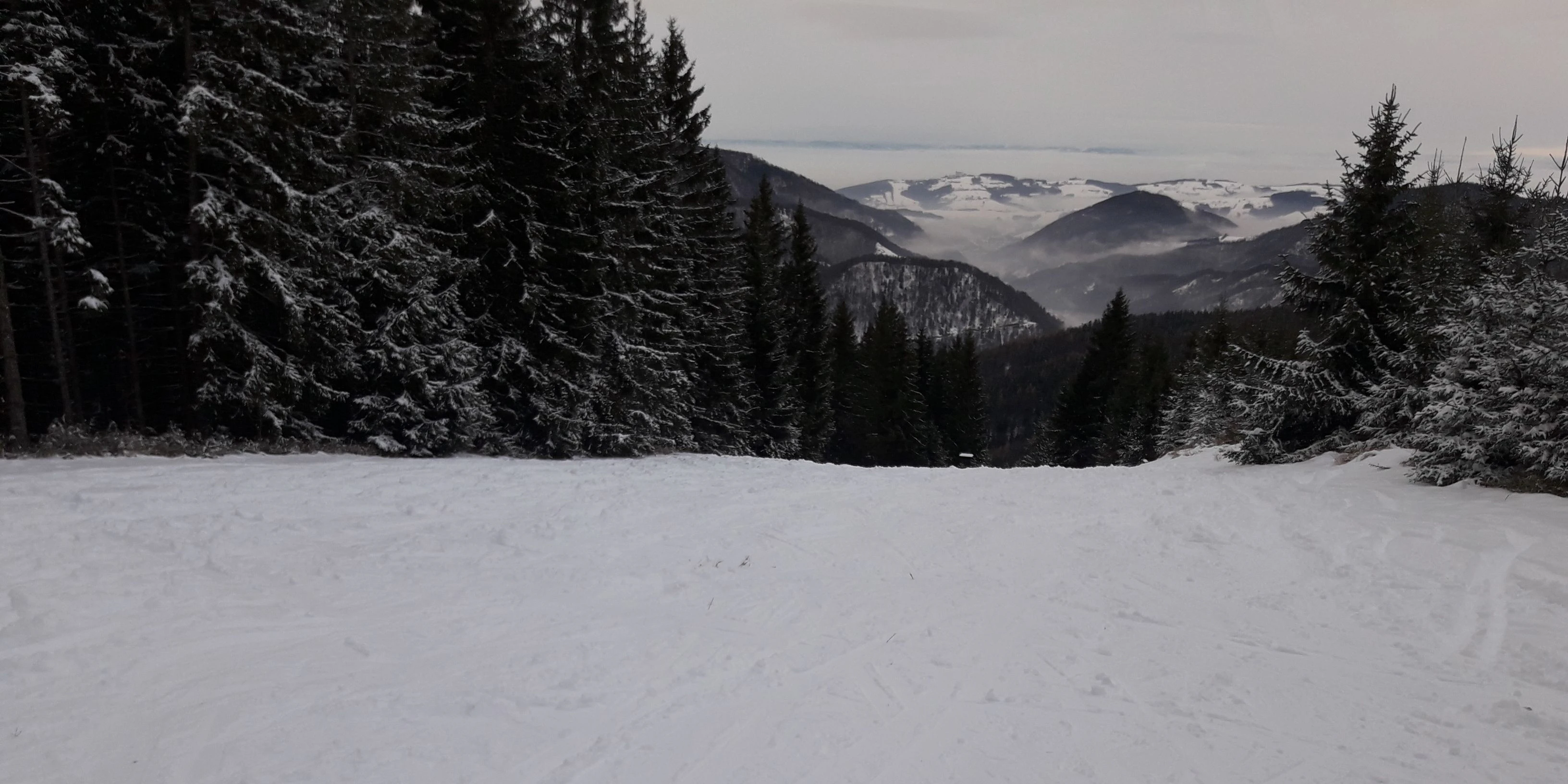 Blick von der Unfallstelle Richtung Waidhofen.