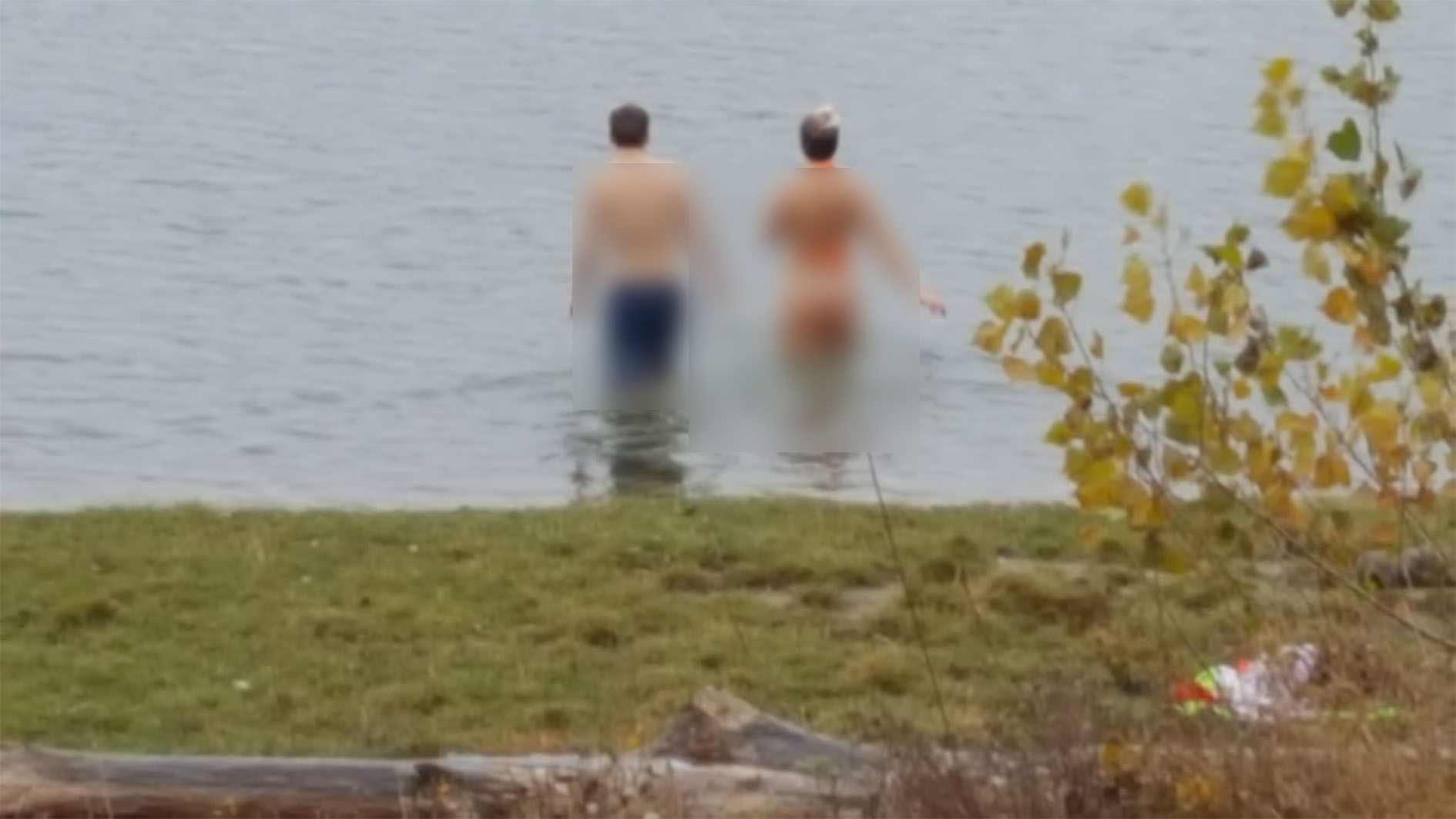 Mutige Schwimmer in der Neuen Donau