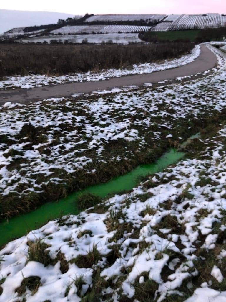 Grüner Bach im Bezirk Mistelbach: Die Feuerwehr stand im Einsatz.
