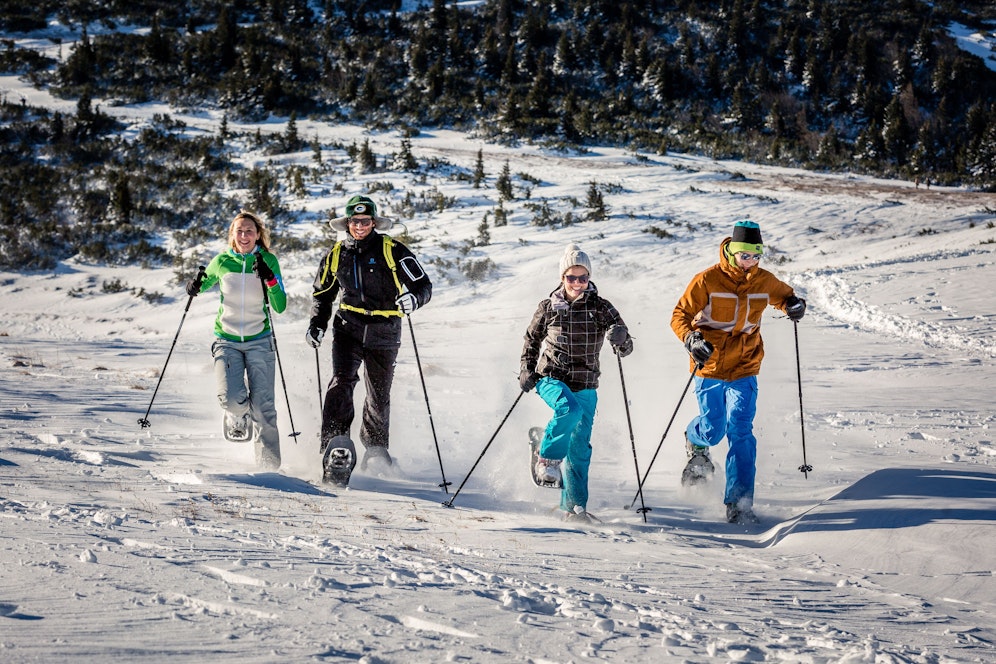Schneeschuhwandern auf der Rax startet