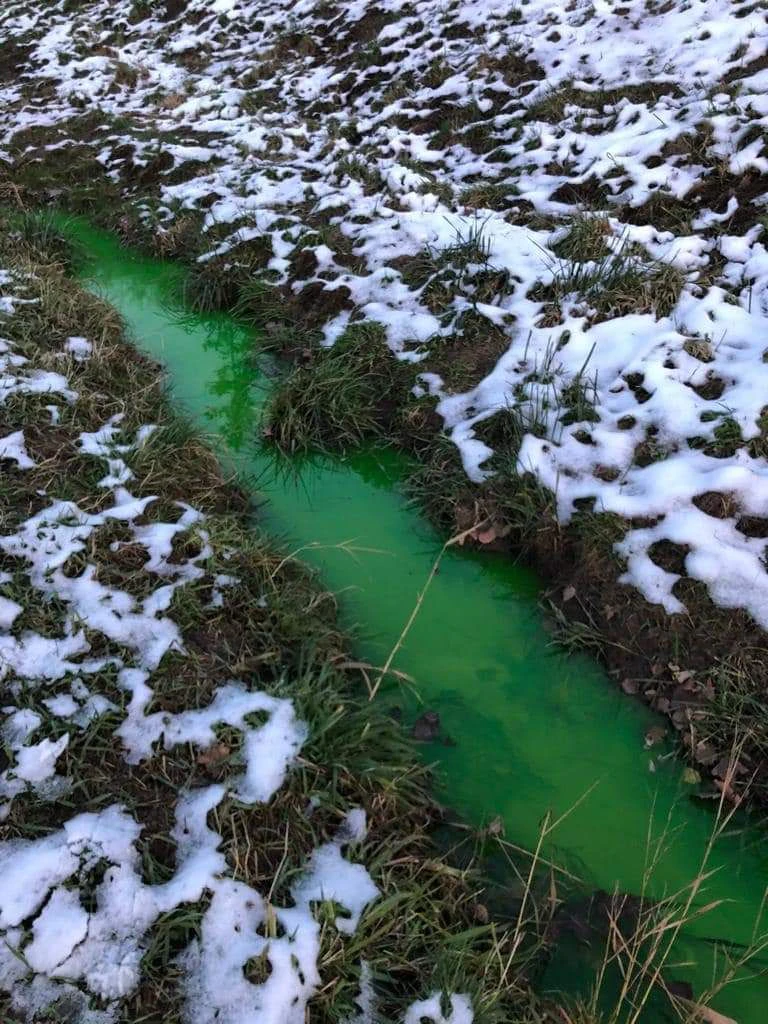 Grüner Bach im Bezirk Mistelbach: Die Feuerwehr stand im Einsatz.