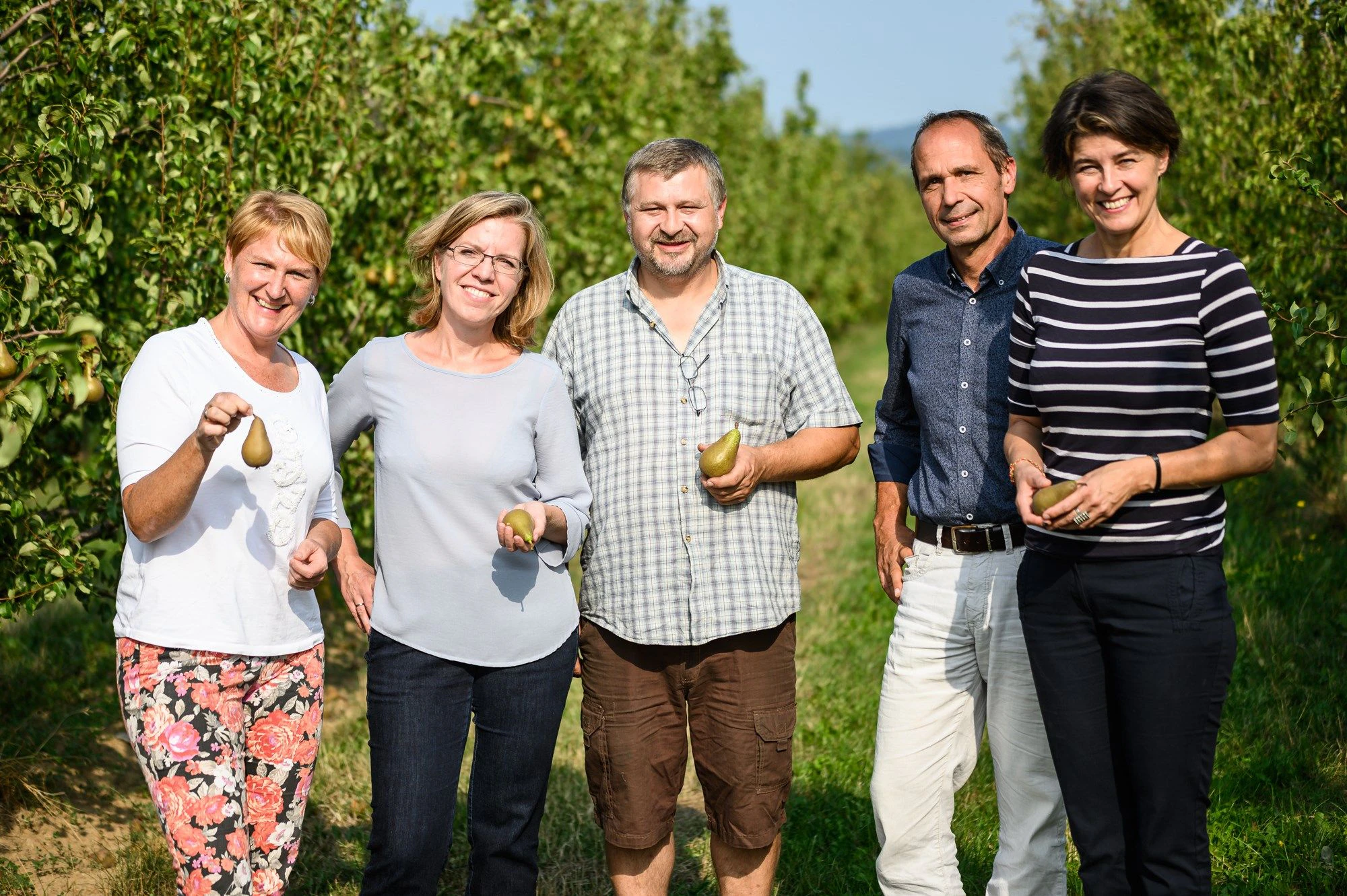 Die geplante S34 würde genau durch diese Plantage verlaufen und damit seine 12.000 Birnbäume einfach wegradieren, heißt es seitens der Grünen. Am Foto von v.l.n.r.: Helga Krismer, Leonore Gewessler, Stefan Götzinger, Bernhard Higger, Elisabeth Götze