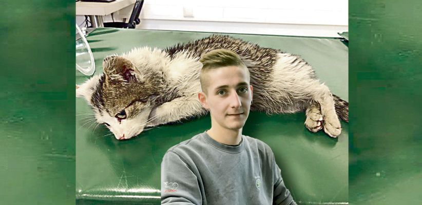 Mechaniker Daniel Haslhofer entdeckte das Kätzchen im Motorraum.