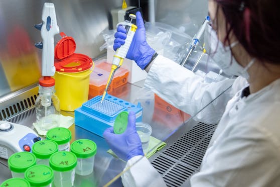 Nach einem PCR-Test gelten vier Südafrika-Reiserückkehrer als Verdachtsfall.