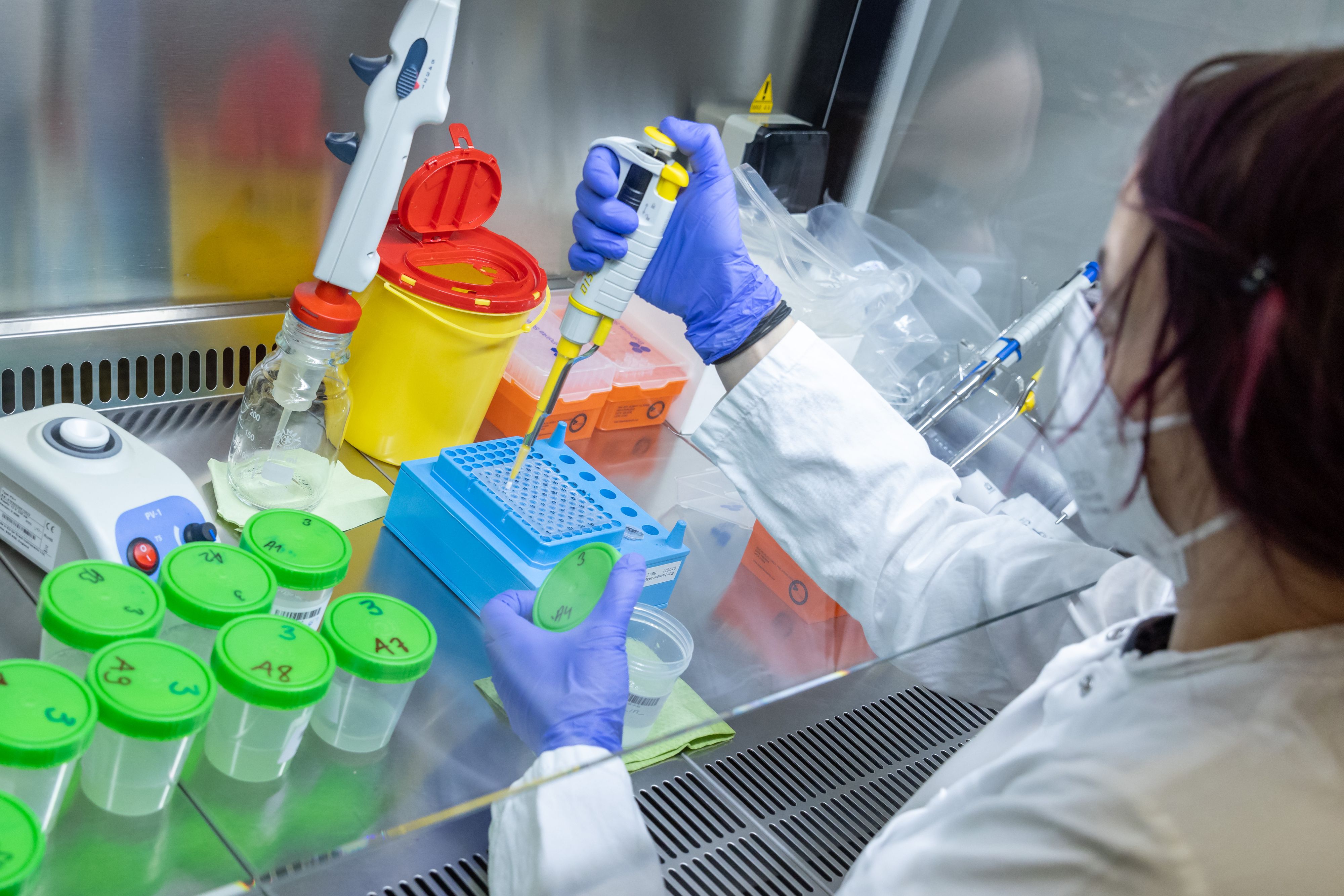 Download von www.picturedesk.com am 01.12.2021 (16:05).  29 November 2021, Bavaria, Nuremberg: A lab employee at IT service provider Datev eG analyzes gargle tests from a school in a lab. Kindergartens and schools in the region can use the unused capacities of Datev's testing infrastructure, which the company has built up for its own needs. In return, the institutions deliver the samples for the PCR test, which are usually pooled by class and analysed free of charge in a laboratory container purchased by Datev. Photo: Daniel Karmann/dpa - 20211129_PD2911 - Rechteinfo: Rights Managed (RM)