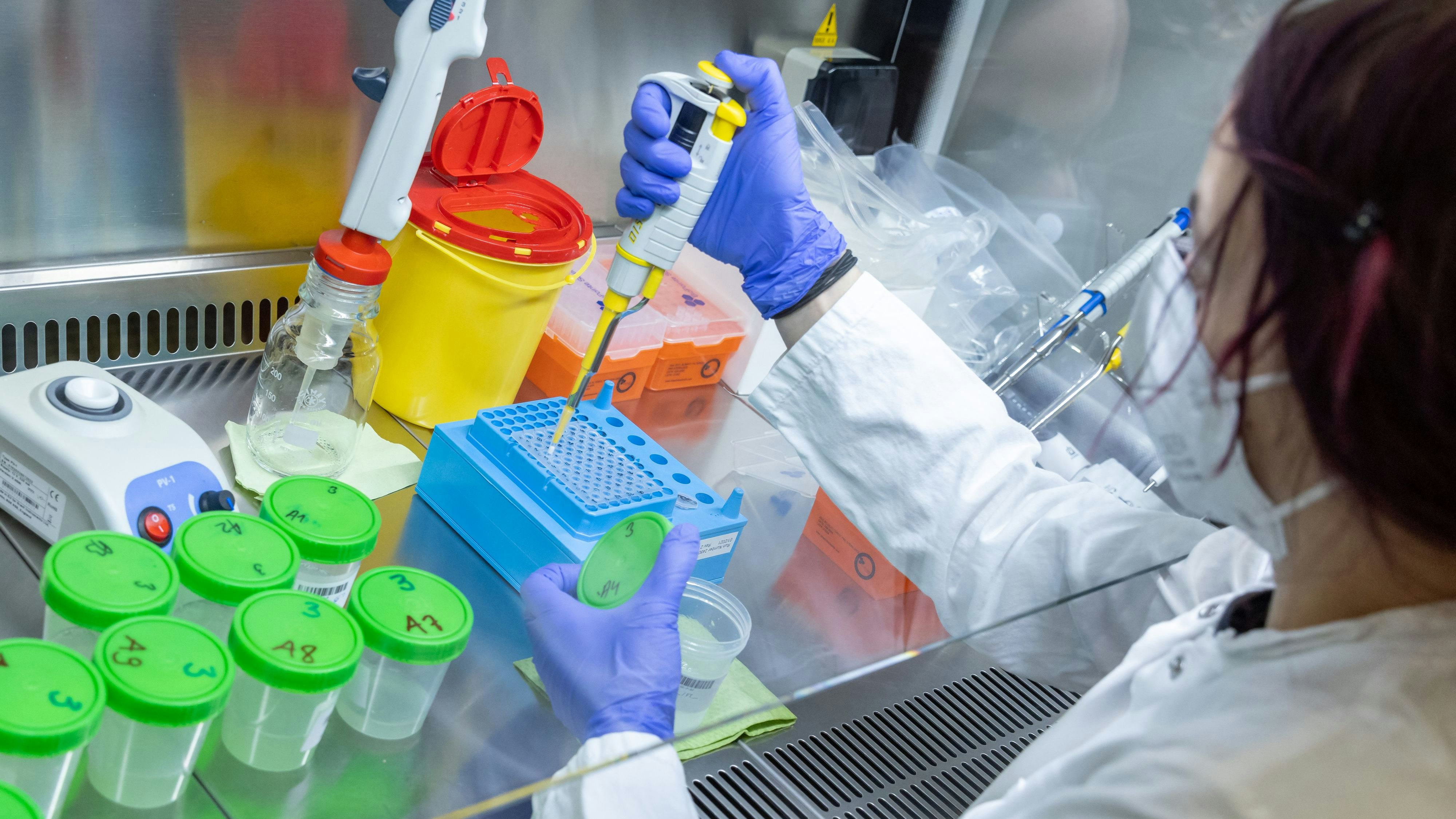 Download von www.picturedesk.com am 01.12.2021 (16:05).  29 November 2021, Bavaria, Nuremberg: A lab employee at IT service provider Datev eG analyzes gargle tests from a school in a lab. Kindergartens and schools in the region can use the unused capacities of Datev's testing infrastructure, which the company has built up for its own needs. In return, the institutions deliver the samples for the PCR test, which are usually pooled by class and analysed free of charge in a laboratory container purchased by Datev. Photo: Daniel Karmann/dpa - 20211129_PD2911 - Rechteinfo: Rights Managed (RM)