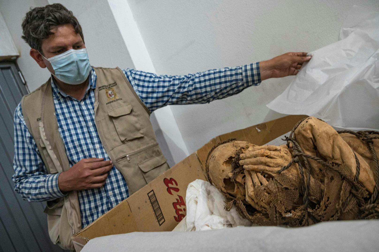 Der Archäologe Pieter Van Dalen Luna, Leiter des archäologischen Projekts Cajamarquilla, zeigt die Mumie, die auf ein Alter zwischen 800 und 1200 Jahren geschätzt wird.
