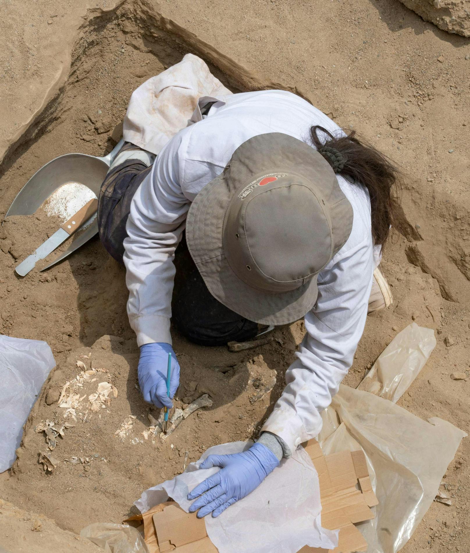 In feiner Kleinarbeit wurde die Mumie von den Archäologen aus dem Boden freipräpariert.