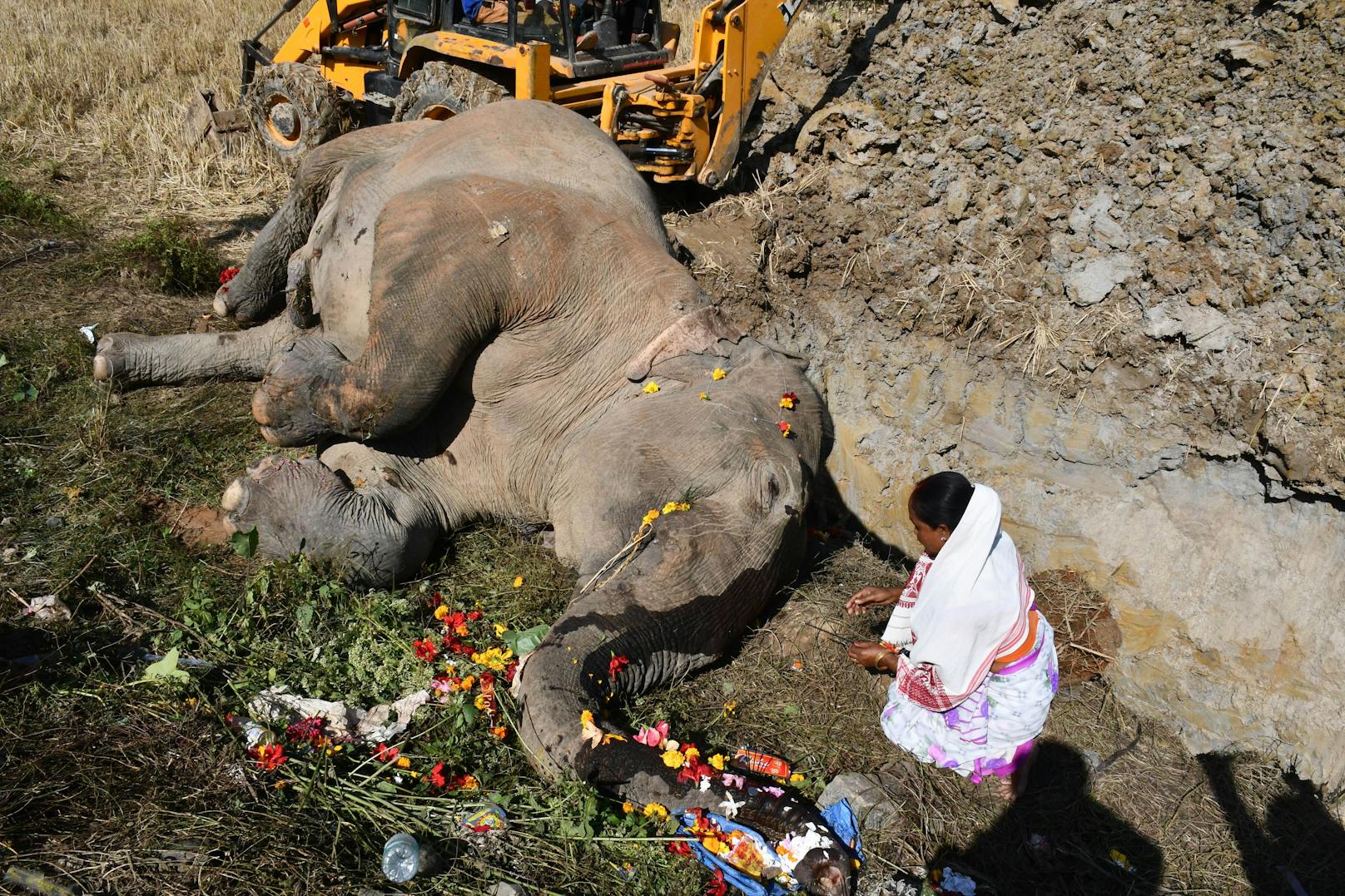 Im Bezirk Morigaon wurden zwei Elefanten von einem Zug erfasst. 
