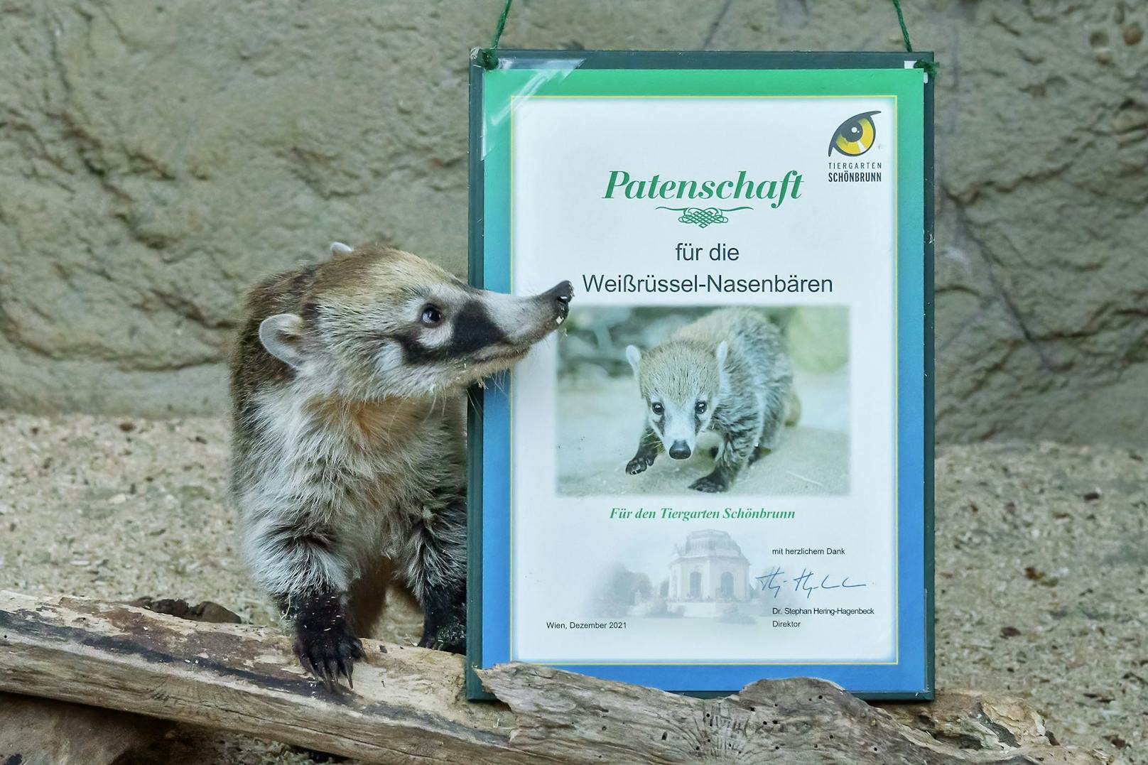 Momentan gibt es 450 - auch prominente - Tierparten für die Schönbrunner Zootiere.&nbsp; 