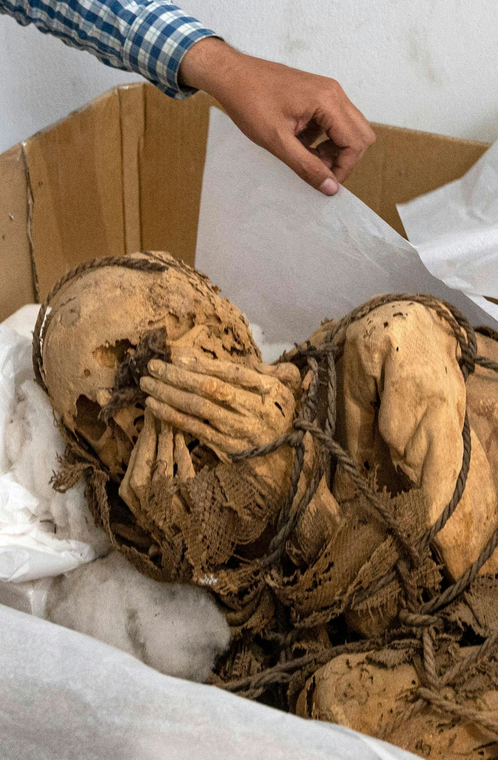 Forscher der Nationalen Universität von San Marcos fanden die konservierte Leiche eines jungen Mannes zwischen 25 und 30 Jahren, der mit Seilen gefesselt war und dessen Hände sein Gesicht bedeckten, was auf vorspanische Zeiten zurückgeht. 