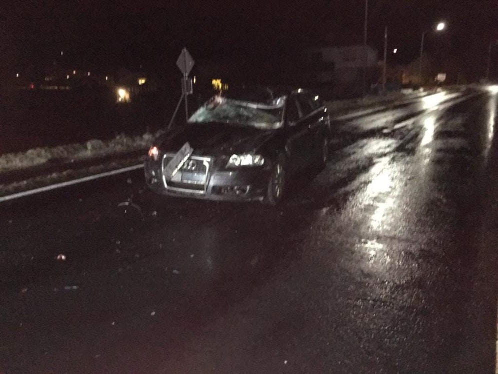 Der Lenker konnte nicht mehr ausweichen, krachte gegen zwei Pferde.