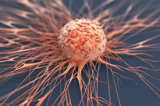 Die gezielte Aktivierung von Bitterrezeptoren könnte die Verbreitung von Krebszellen (Bild) hemmen.