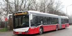 Wiener Busfahrer: "Müssen im Freien aufs Klo gehen"