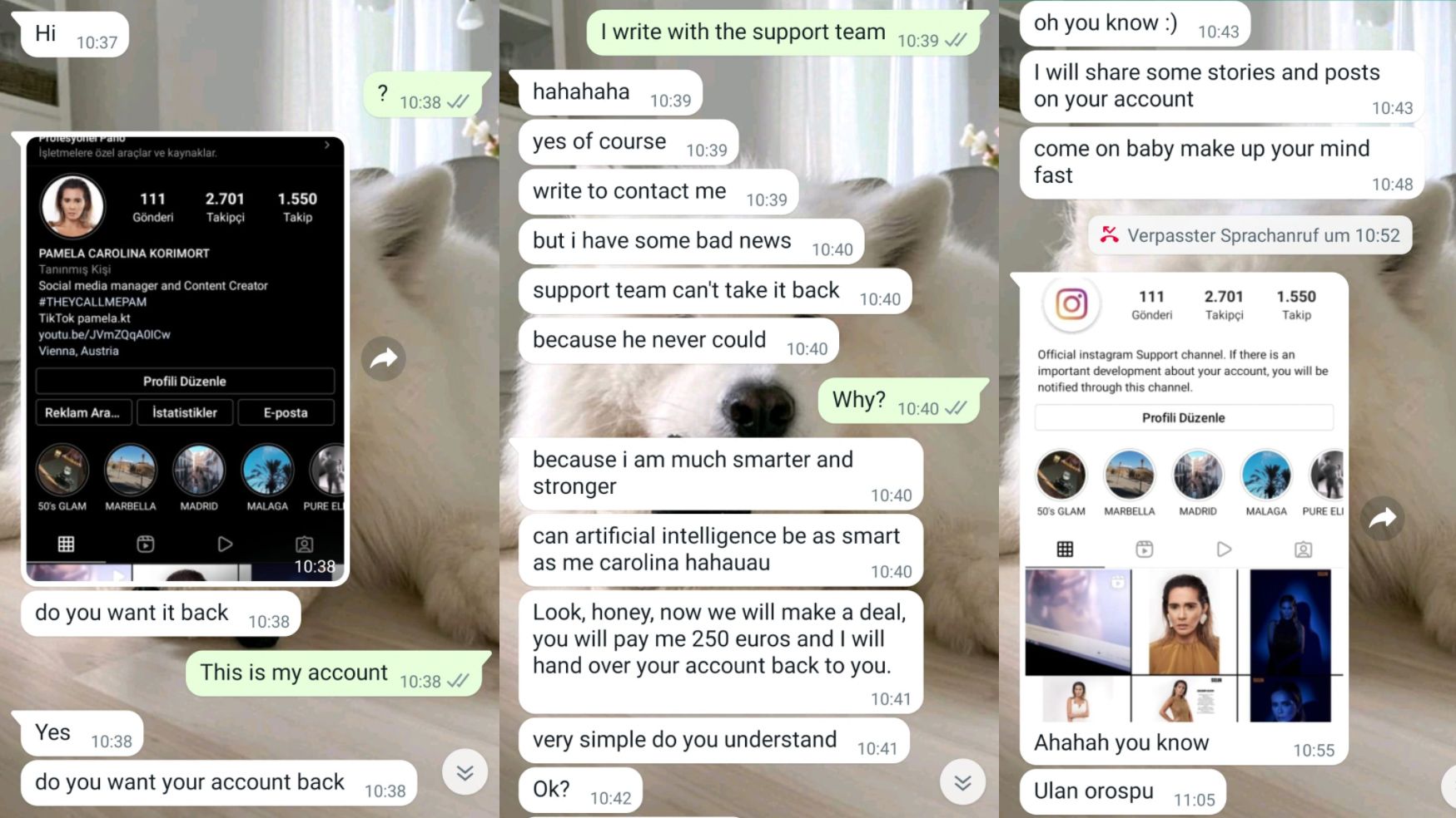 Der Whatsapp-Verlauf <em>(Auszug)</em><br>
