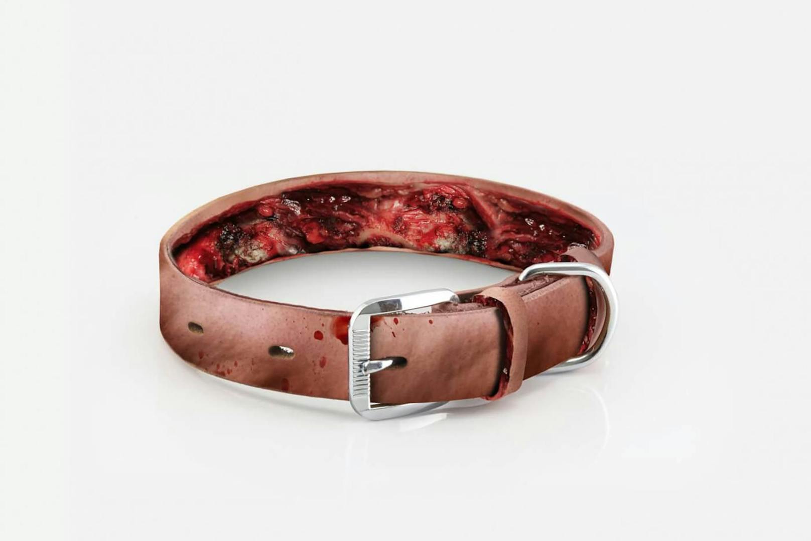 Mit dem "Millie"-Halsband für Hunde, das laut PETA aus einer "Hundeliebhaberin" gefertigt wurde, wird der Spieß umgedreht.