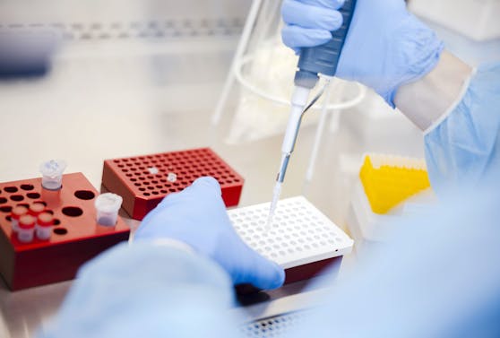 PCR-Tests waren in der Pandemie in vielerorts oft Mangelware – Wien war stets eine Ausnahme. 