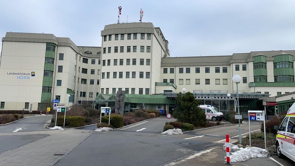 Der Fall um den Horner Primar sorgt für Aufregung.