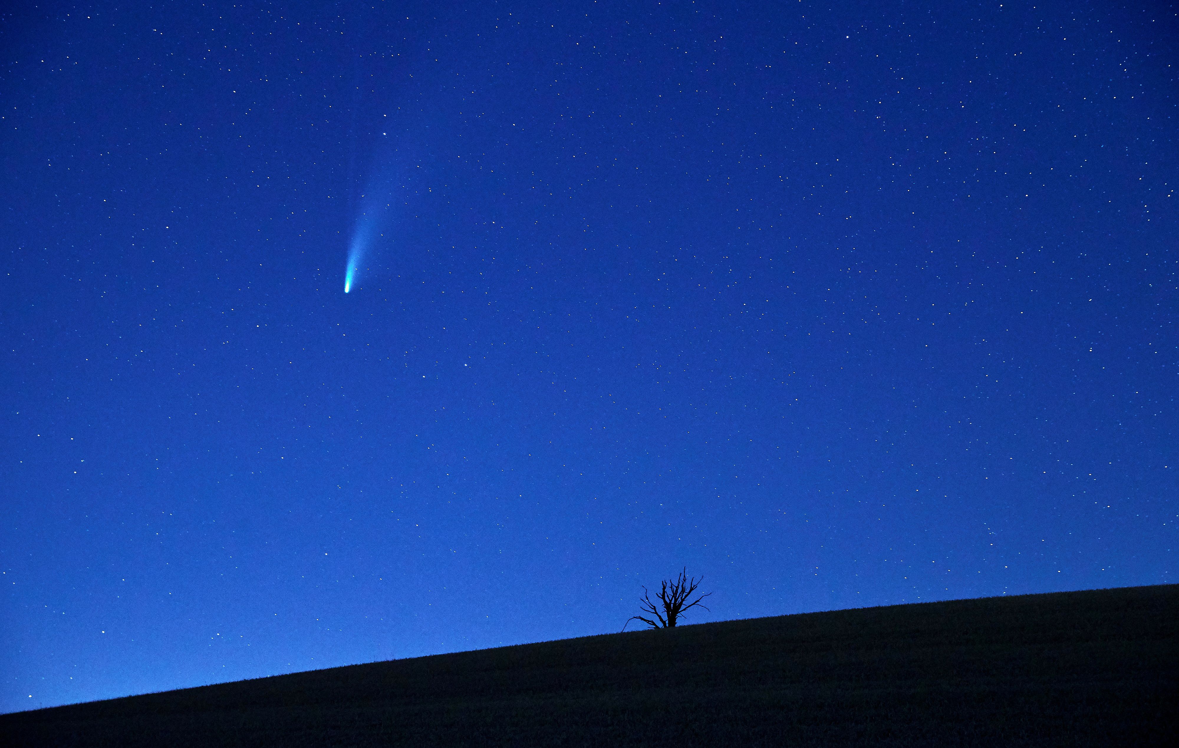 The Comet C/2020 or "Neowise" is seen in the sky behind a tree in Mies near Lausanne, Switzerland July 19, 2020. REUTERS/Denis Balibouse     TPX IMAGES OF THE DAY